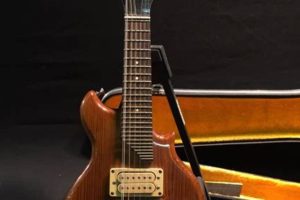 Unveiling the Enigmatic 12-String Mini Guitar: A Journey of Discovery and Sonic Delight - Master the Art of Playing Guitar and Play Like a Pro
