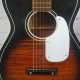 Uncover the Secrets of Silvertone Acoustic Guitars: A Journey of Discovery and Inspiration - Master the Art of Playing Guitar and Play Like a Pro