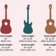 Discover the Hidden Gems of 1/2 Size Acoustic Guitars - Master the Art of Playing Guitar and Play Like a Pro