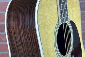 Uncover the Essential Guide to Acoustic Guitars with Cases: Discoveries and Insights Await - Master the Art of Playing Guitar and Play Like a Pro