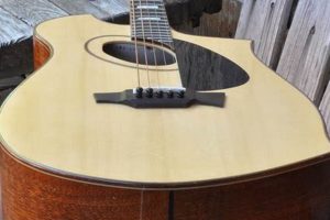 Unlock the Secrets of the 5-String Tenor Guitar: A Journey of Discovery and Insight - Master the Art of Playing Guitar and Play Like a Pro