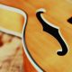 Discover the Enchanting World of Acoustic Guitars with F Holes - Master the Art of Playing Guitar and Play Like a Pro