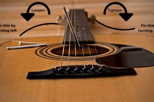 Unlock the Power of Acoustic Guitars with Truss Rods: A Journey to Enhanced Playability and Sound - Master the Art of Playing Guitar and Play Like a Pro