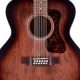 12-String Acoustic Guitars: Unveil a World of Sonic Delights - Master the Art of Playing Guitar and Play Like a Pro