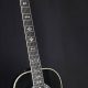 Discover the Enchanting Symphony of the 12 String Ovation Acoustic Guitar - Master the Art of Playing Guitar and Play Like a Pro
