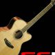 Unleashing the Magic of Yamaha 12-String Acoustic-Electric Guitars: A Journey of Discovery and Inspiration - Master the Art of Playing Guitar and Play Like a Pro