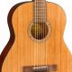 Unveiling the Secrets of 3/4 Scale Acoustic Guitars: A Journey of Discovery - Master the Art of Playing Guitar and Play Like a Pro