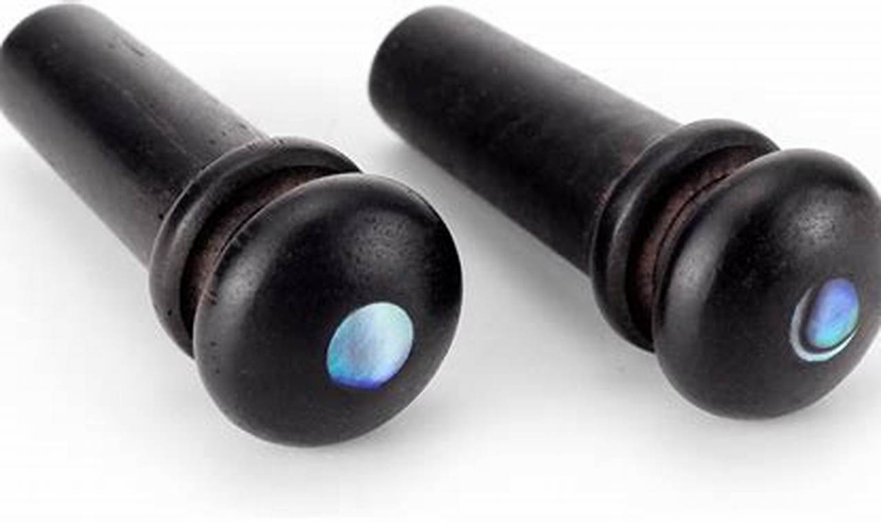 Unveil the Secrets of Your Acoustic Guitar: The End Pin's Role Revealed - Master the Art of Playing Guitar and Play Like a Pro
