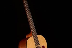 Unveiling the Secrets of the Taylor 355 12-String Guitar - Master the Art of Playing Guitar and Play Like a Pro