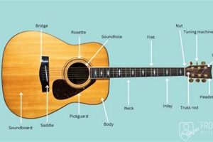 Uncover Acoustic Guitar Secrets: The Ultimate Guide to Labeled Guitars - Master the Art of Playing Guitar and Play Like a Pro