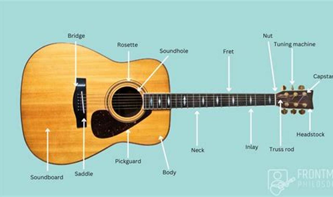 Uncover Acoustic Guitar Secrets: The Ultimate Guide to Labeled Guitars - Master the Art of Playing Guitar and Play Like a Pro