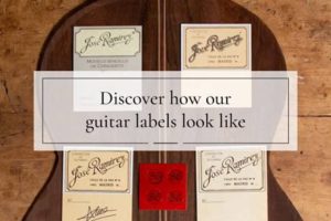 Unveiling the Secrets: Acoustic Guitar Labels Decoded - Master the Art of Playing Guitar and Play Like a Pro