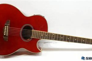 Unveiling the Brownsville Sound: Discover the Enchanting World of Acoustic Guitars from the Heart of Brooklyn - Master the Art of Playing Guitar and Play Like a Pro