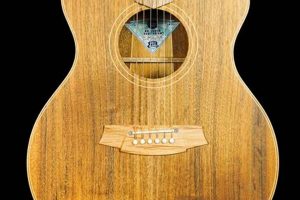 Unveiling the Secrets of Cole Clark Acoustic Guitars: Exceptional Sound and Unmatched Craftsmanship - Master the Art of Playing Guitar and Play Like a Pro