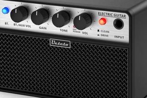 Unveil the Secrets to Amplifying Acoustic and Electric Guitars - Master the Art of Playing Guitar and Play Like a Pro
