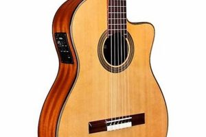 Unveil the Fusion of Acoustic Excellence: Exploring the Cordoba Fusion 12 Natural - Master the Art of Playing Guitar and Play Like a Pro