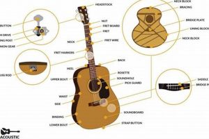 Unveiling the Acoustic Guitar's Anatomy: Discoveries and Insights - Master the Art of Playing Guitar and Play Like a Pro