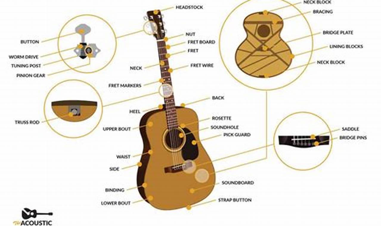 Unveiling the Acoustic Guitar's Anatomy: Discoveries and Insights - Master the Art of Playing Guitar and Play Like a Pro