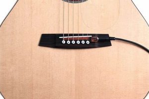 Unveil the Secrets of Electric Guitars with Acoustic Pickups: A Journey to Sonic Discovery - Master the Art of Playing Guitar and Play Like a Pro