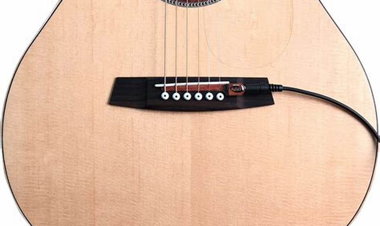 Unveil the Secrets of Electric Guitars with Acoustic Pickups: A Journey to Sonic Discovery Master the Art of Playing Guitar and Play Like a Pro Unveil the Secrets of Electric Guitars with Acoustic Pickups: A Journey to Sonic Discovery - Master the Art of Playing Guitar and Play Like a Pro