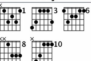 Unveiling the Secrets of Bbmaj7 Chords: A Journey to Enchant Your Guitar Playing - Master the Art of Playing Guitar and Play Like a Pro