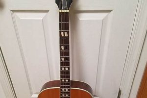 Unveiling the Ensenada Acoustic Guitar: Discoveries and Insights for the Acoustic Niche - Master the Art of Playing Guitar and Play Like a Pro