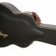 Unlock the Secrets of Epiphone Acoustic Guitar Case: Your Guide to Protection and Style - Master the Art of Playing Guitar and Play Like a Pro