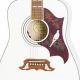 Unveiling the Epiphone Acoustic Guitar Dove: An Acoustic Odyssey Awaits - Master the Art of Playing Guitar and Play Like a Pro