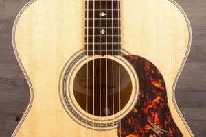 Unveiling the Secrets of Artist Acoustic Guitars: A Journey of Discovery and Insight - Master the Art of Playing Guitar and Play Like a Pro