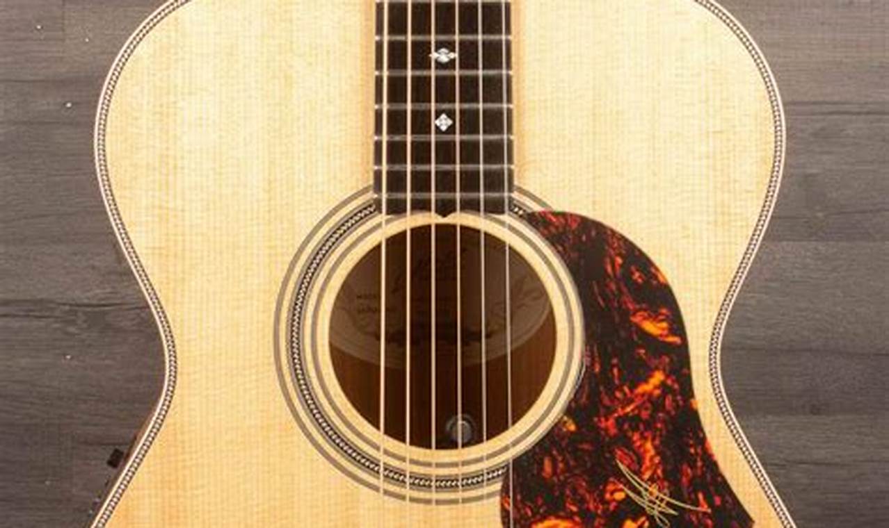 Unveiling the Secrets of Artist Acoustic Guitars: A Journey of Discovery and Insight - Master the Art of Playing Guitar and Play Like a Pro