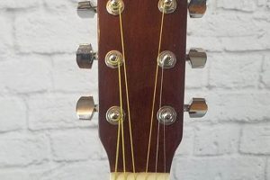 Unveil the Enchanting World of Asheville Acoustic Guitars: Your Journey to Sonic Bliss - Master the Art of Playing Guitar and Play Like a Pro