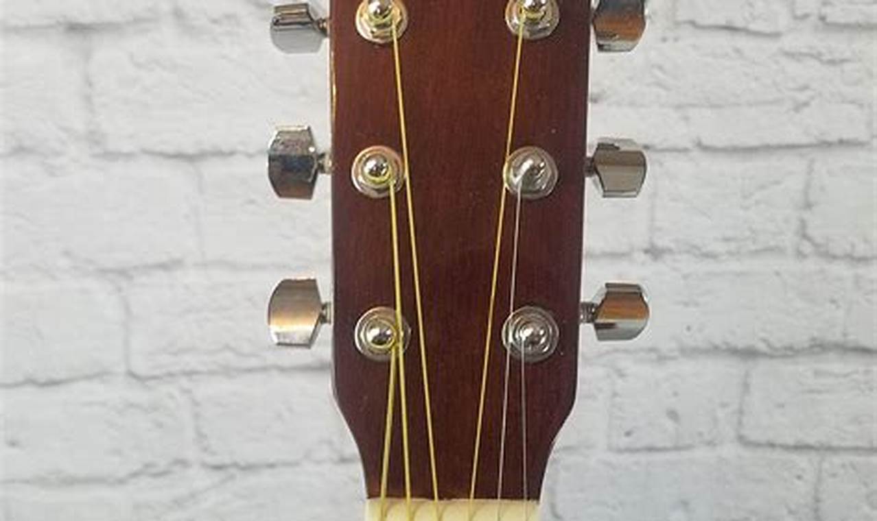 Unveil the Enchanting World of Asheville Acoustic Guitars: Your Journey to Sonic Bliss - Master the Art of Playing Guitar and Play Like a Pro