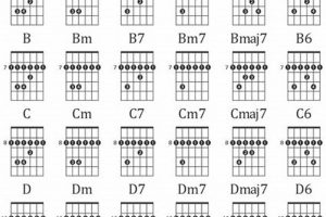 Unlock the Secrets of Barre Chords for Acoustic Guitar: A Journey of Discovery - Master the Art of Playing Guitar and Play Like a Pro