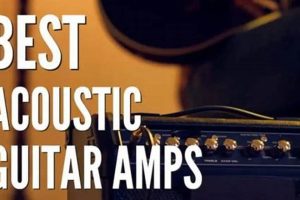 Discover the Ultimate Acoustic Guitar Amps of 2024: Unlocking Sonic Brilliance - Master the Art of Playing Guitar and Play Like a Pro
