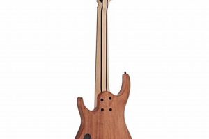 Unleash Your Musical Potential: Discover the 8 String Small Guitar - Master the Art of Playing Guitar and Play Like a Pro