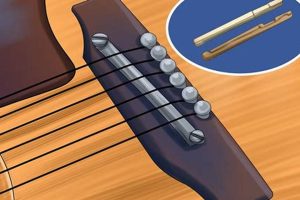 Unlock the Secrets of Action on Acoustic Guitar: Discoveries and Insights to Enhance Your Playing - Master the Art of Playing Guitar and Play Like a Pro