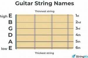 Unveiling the Complete Guitar String Nomenclature: A Comprehensive Guide to String Mastery Master the Art of Playing Guitar and Play Like a Pro Unveiling the Complete Guitar String Nomenclature: A Comprehensive Guide to String Mastery - Master the Art of Playing Guitar and Play Like a Pro