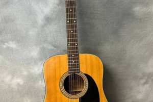 Unveiling the Exquisite Alvarez 5021 12 String Guitar: A Sonic Masterpiece - Master the Art of Playing Guitar and Play Like a Pro