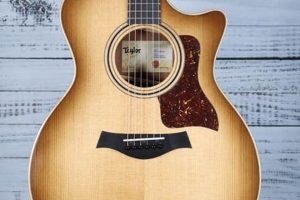 Unveil the Secrets of the Perfect Studio Acoustic Guitar: Discoveries and Insights Await - Master the Art of Playing Guitar and Play Like a Pro