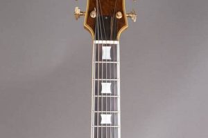 Unleash the Power of the Benedetto 7 String Guitar: Discoveries and Insights - Master the Art of Playing Guitar and Play Like a Pro