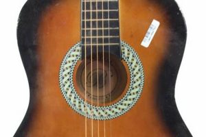 Unlock the Secrets of BridgeCraft USA: Your Guide to Exceptional Acoustic Guitars - Master the Art of Playing Guitar and Play Like a Pro