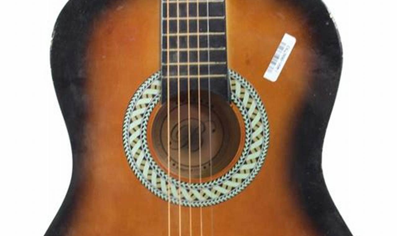 Unlock the Secrets of BridgeCraft USA: Your Guide to Exceptional Acoustic Guitars - Master the Art of Playing Guitar and Play Like a Pro