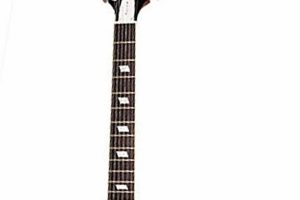 Unveil the Secrets of the Epiphone Riviera 12 String Guitar - Master the Art of Playing Guitar and Play Like a Pro