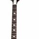 Unveil the Secrets of the Epiphone Riviera 12 String Guitar - Master the Art of Playing Guitar and Play Like a Pro