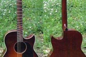 Uncover the Harmony of Five String Tenor Guitars: Discoveries and Insights Unveiled Master the Art of Playing Guitar and Play Like a Pro Uncover the Harmony of Five String Tenor Guitars: Discoveries and Insights Unveiled - Master the Art of Playing Guitar and Play Like a Pro