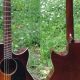 Uncover the Harmony of Five String Tenor Guitars: Discoveries and Insights Unveiled - Master the Art of Playing Guitar and Play Like a Pro