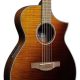 Unleash Your Musical Potential: Dive into the World of Ibanez Thinline Acoustic Electric Guitars - Master the Art of Playing Guitar and Play Like a Pro