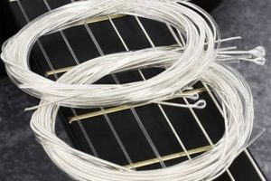 Unveil the Secrets: Folk Guitar Nylon Strings Explored - Master the Art of Playing Guitar and Play Like a Pro