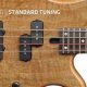 Unveiling the Secrets of Four-String Guitar Tuning: Discoveries and Insights for the Discerning String Enthusiast - Master the Art of Playing Guitar and Play Like a Pro