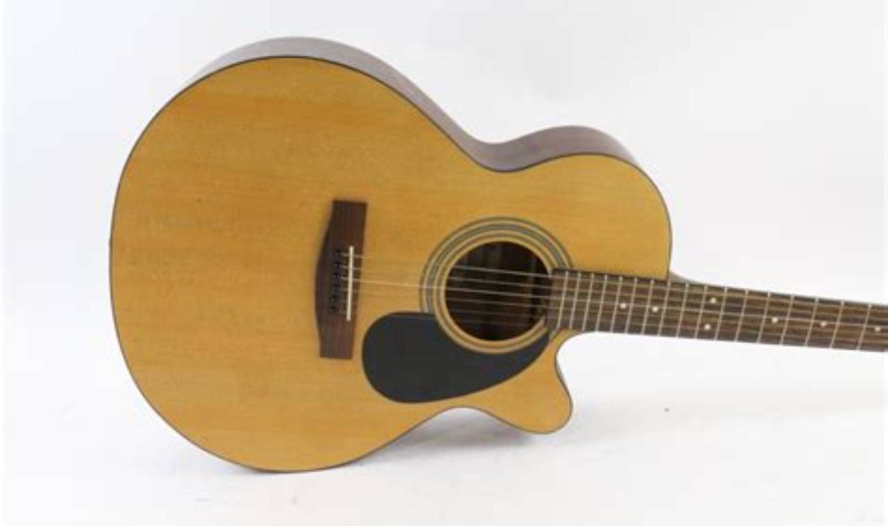 Unveiling the Essence of Jasmine Acoustic Guitars by Takamine: Discoveries and Insights - Master the Art of Playing Guitar and Play Like a Pro